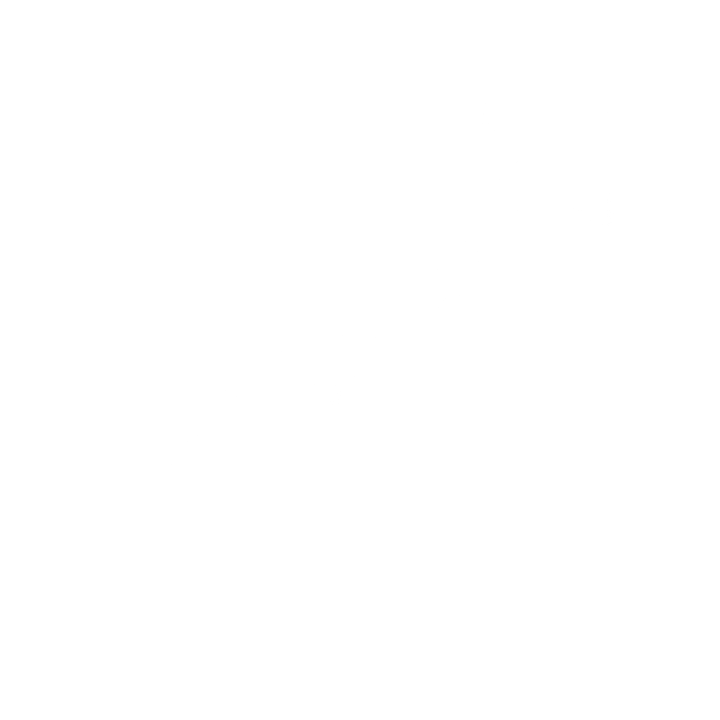 Icon illustrating Dm Win security settings.